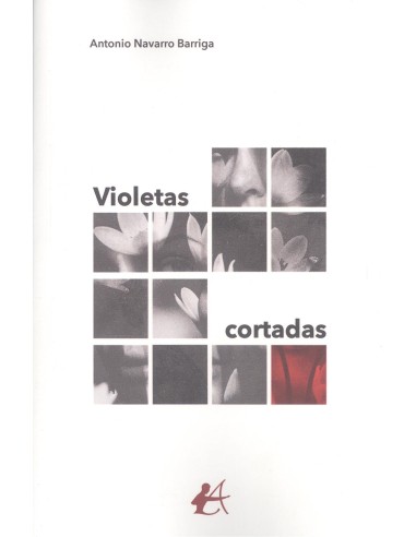 Violetas cortadas