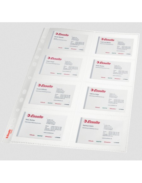 78930 tarjeta de bolsillo Transparente