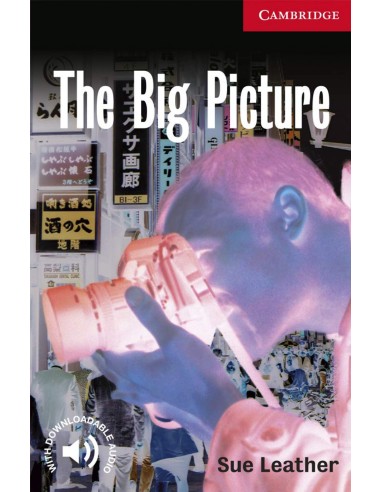 The big picture