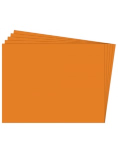 PAQ 25 CARTULINA FIXO 50X65 180G AVELLANA