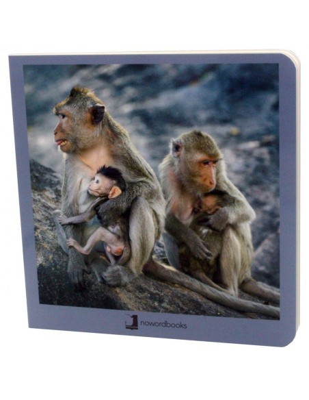 Animales en familia 2