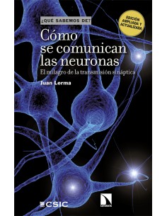 Como se comunican las neuronas