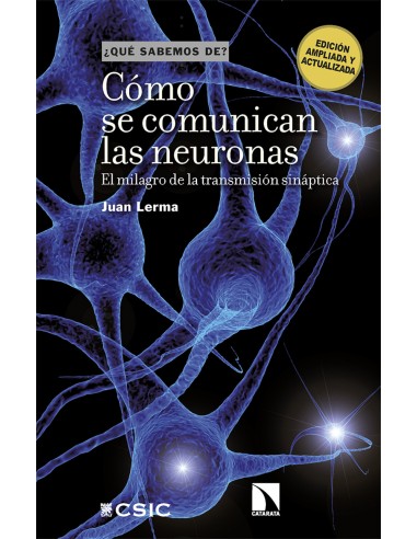 Como se comunican las neuronas