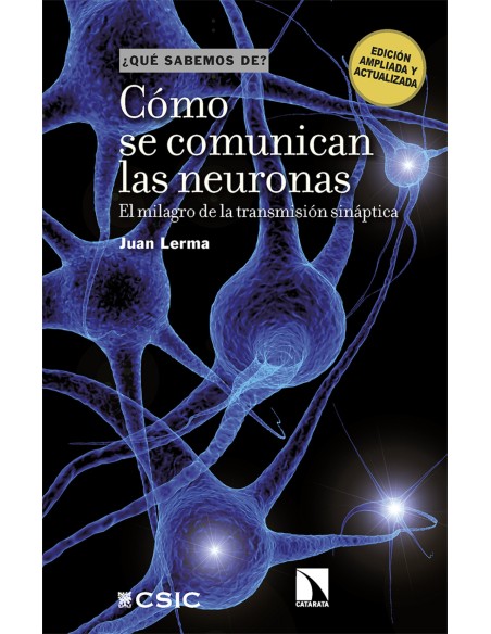Como se comunican las neuronas