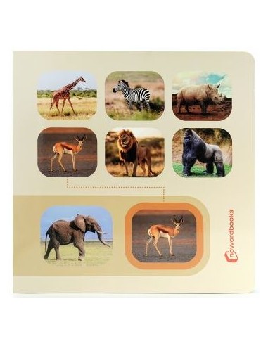 BUSCA Y ENCUENTRA ANIMALES SALVAJES