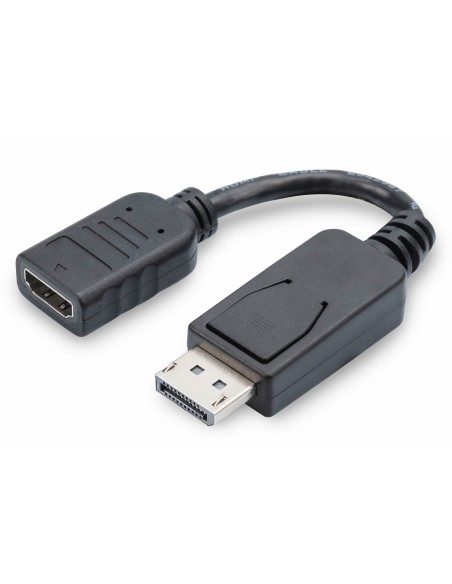 Cable adaptador DisplayPort