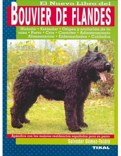 Bouvier de Flandes