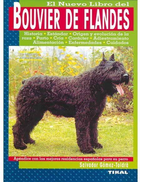 Bouvier de Flandes
