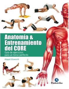 ANATOMIA ampENTRENAMIENTO DEL CORE