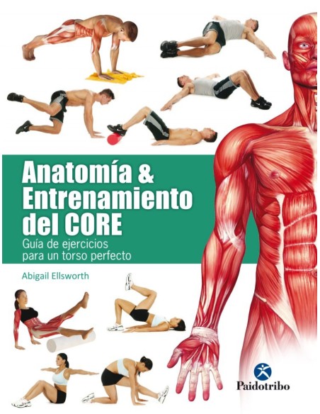 ANATOMIA ampENTRENAMIENTO DEL CORE