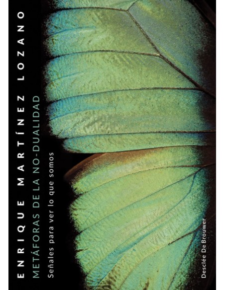 METAFORAS DE LA NO DUALIDAD