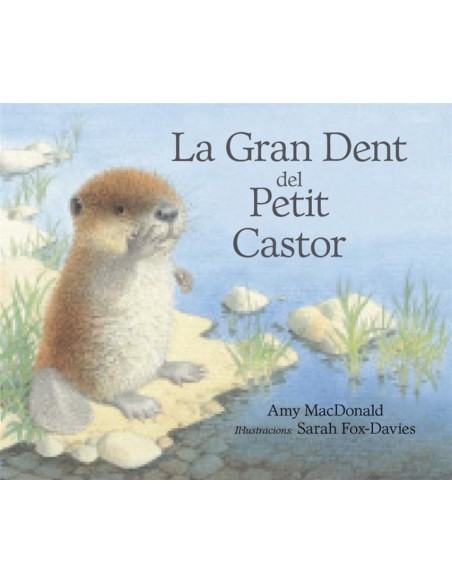 La gran dent del petit castor