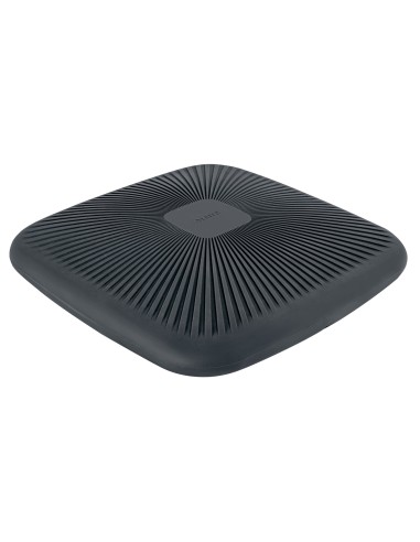 65390089 entrenador equilibrio Cojín de equilibrio Gris