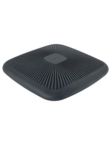 65390089 entrenador equilibrio Cojín de equilibrio Gris