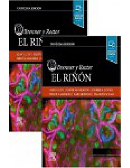 Brenner y Rector El rinon