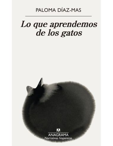 Lo que aprendemos de los gatos