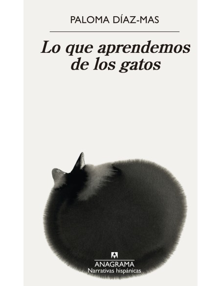 Lo que aprendemos de los gatos
