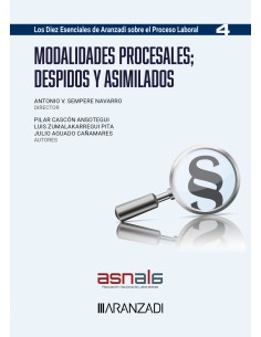 Modalidades procesalesDespidos y asimilados Los diez esenciales serie proceso laboral Num 4 ASNALA