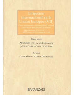 Litigacion internacional en la union europea VII