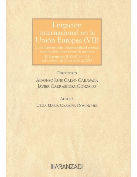 Litigacion internacional en la union europea VII