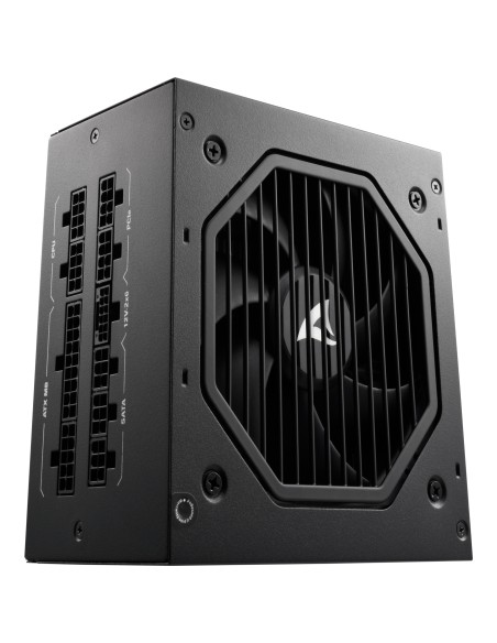 Rebel P20 unidad de fuente de alimentación 1200 W 24-pin ATX ATX Negro