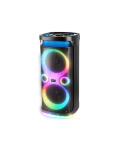 XF 3150 KB Altavoz para fiestas Negro 130 W