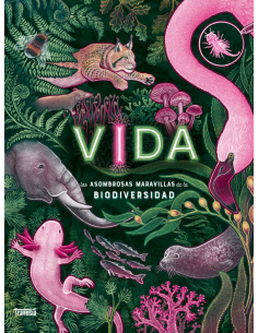 Vida