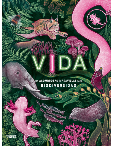 Vida