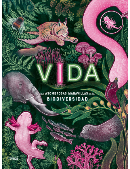 Vida