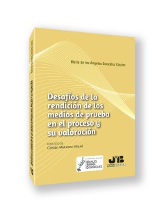 DESAFIOS DE LA RENDICION DE LOS MEDIOS DE PRUEBA EN EL PROCESO Y SU VALORACION