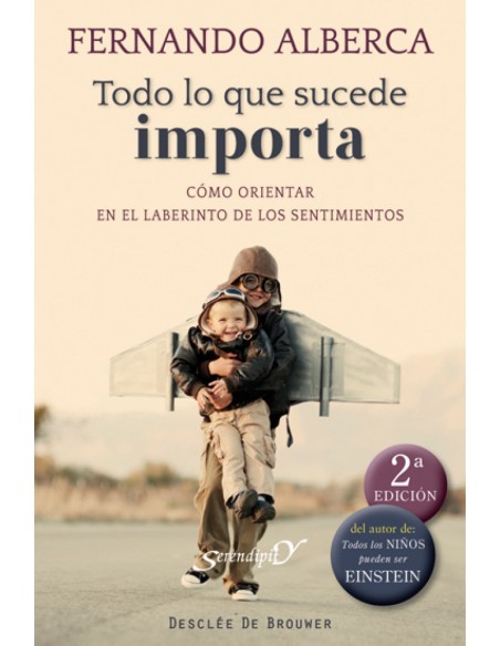 todo lo que sucede importa como orientar en el laberinto de los sentimientos