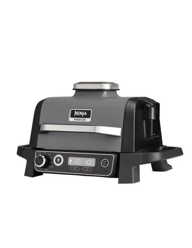 Woodfire Outdoor Grill parrilla eléctrica de contacto