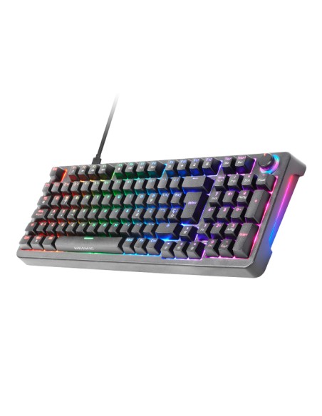 MKPROBES teclado Juego USB QWERTY Español Negro