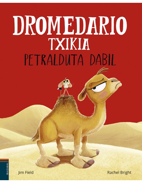 Dromedario txikia petralduta dabil