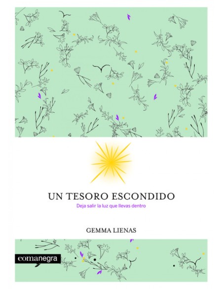 un TESORO ESCONDIDO