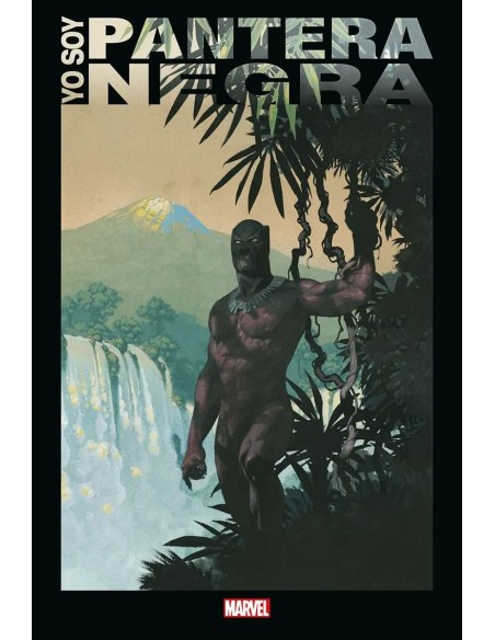 YO SOY PANTERA NEGRA