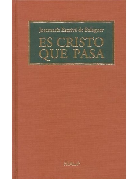 Es Cristo que pasa