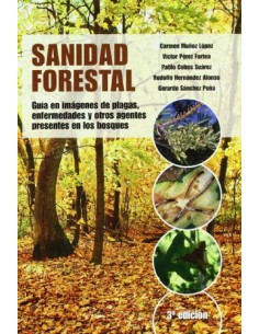 Sanidad forestal
