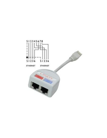 UTP Port Doubler cable de red Gris