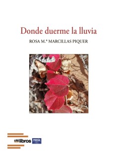 Donde duerme la lluvia