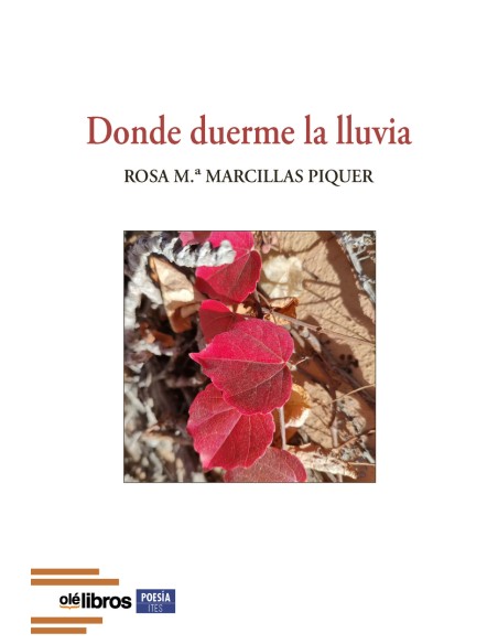 Donde duerme la lluvia