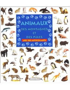 2025agenda almanac del cordill