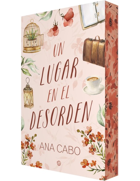 Un lugar en el desorden