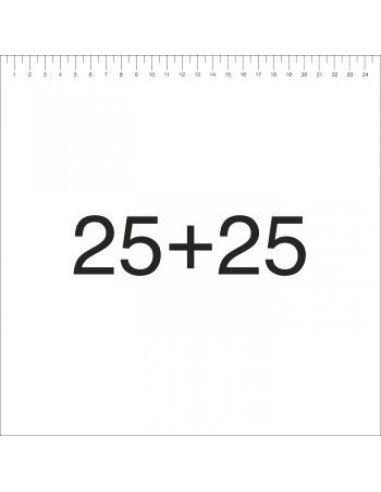 25 25