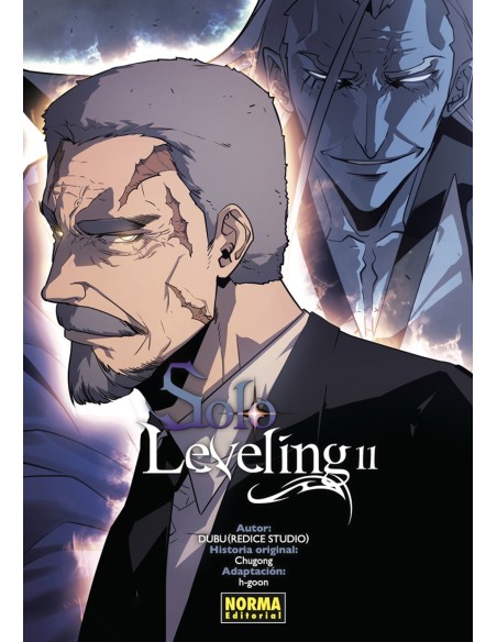 SOLO LEVELING 11