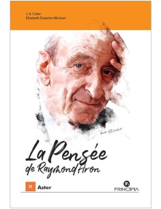 La pensee de Raymond Aron Essais et interpretations