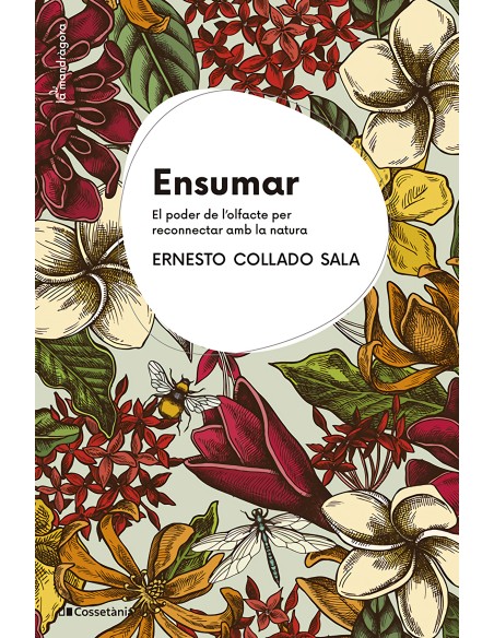 Ensumar