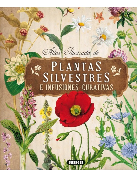 Plantas silvestres e infusiones curativas