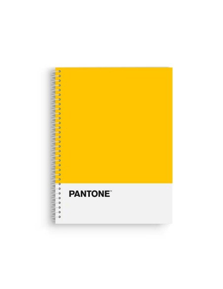 BLOCK ESCOL.PANTONE A4 BASIC 80h 5x5 AM