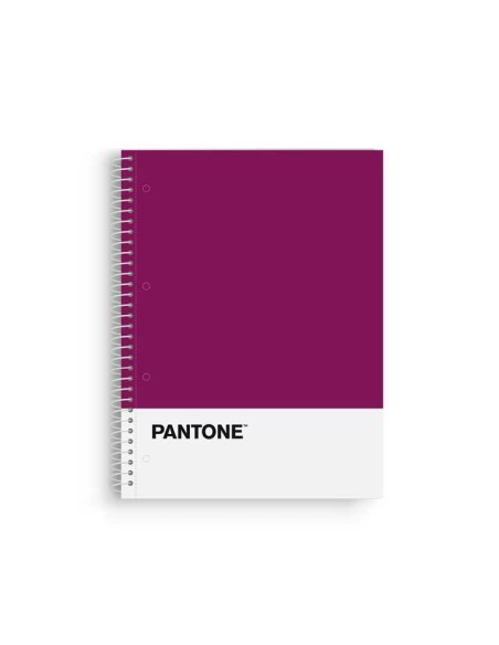 BLOCK ESCOL.PANTONE A4 BASIC 80h 5x5 VL